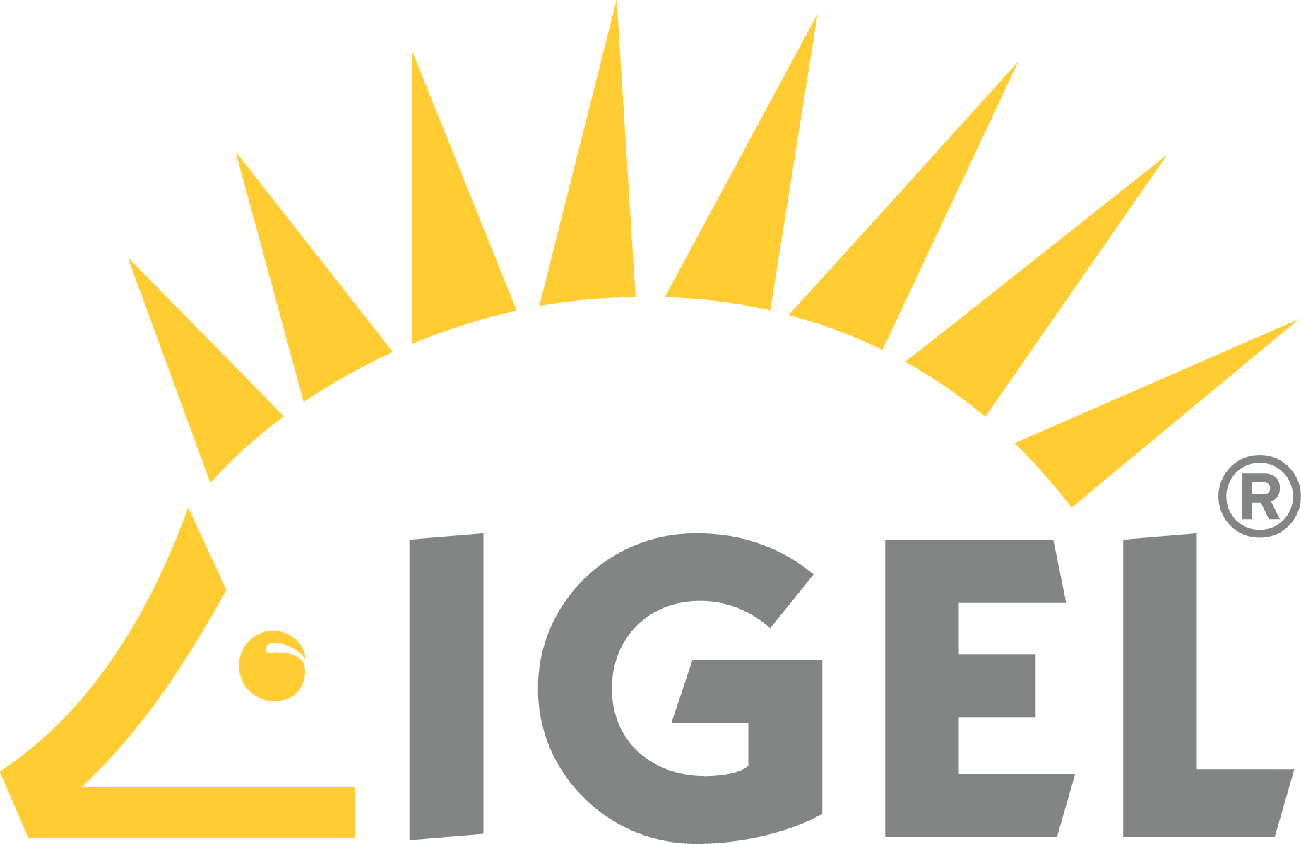 IGEL IGEL Logo