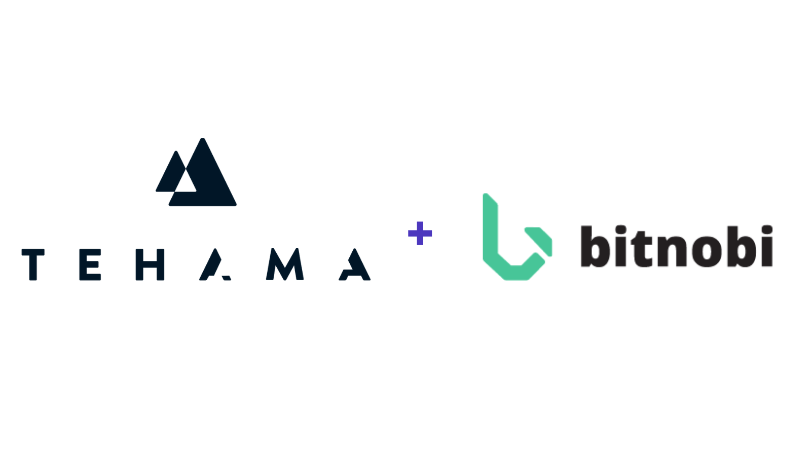 Tehama + Bitnobi Tehama and Bitnobi Logos